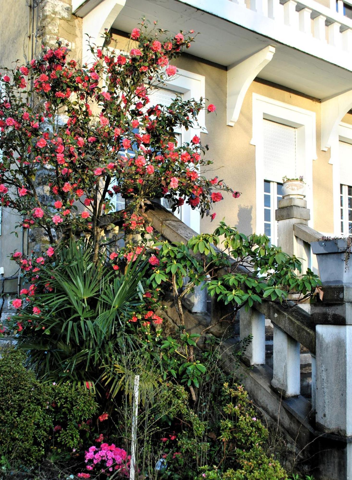 Villa Hortebise Salies-de-Béarn Buitenkant foto
