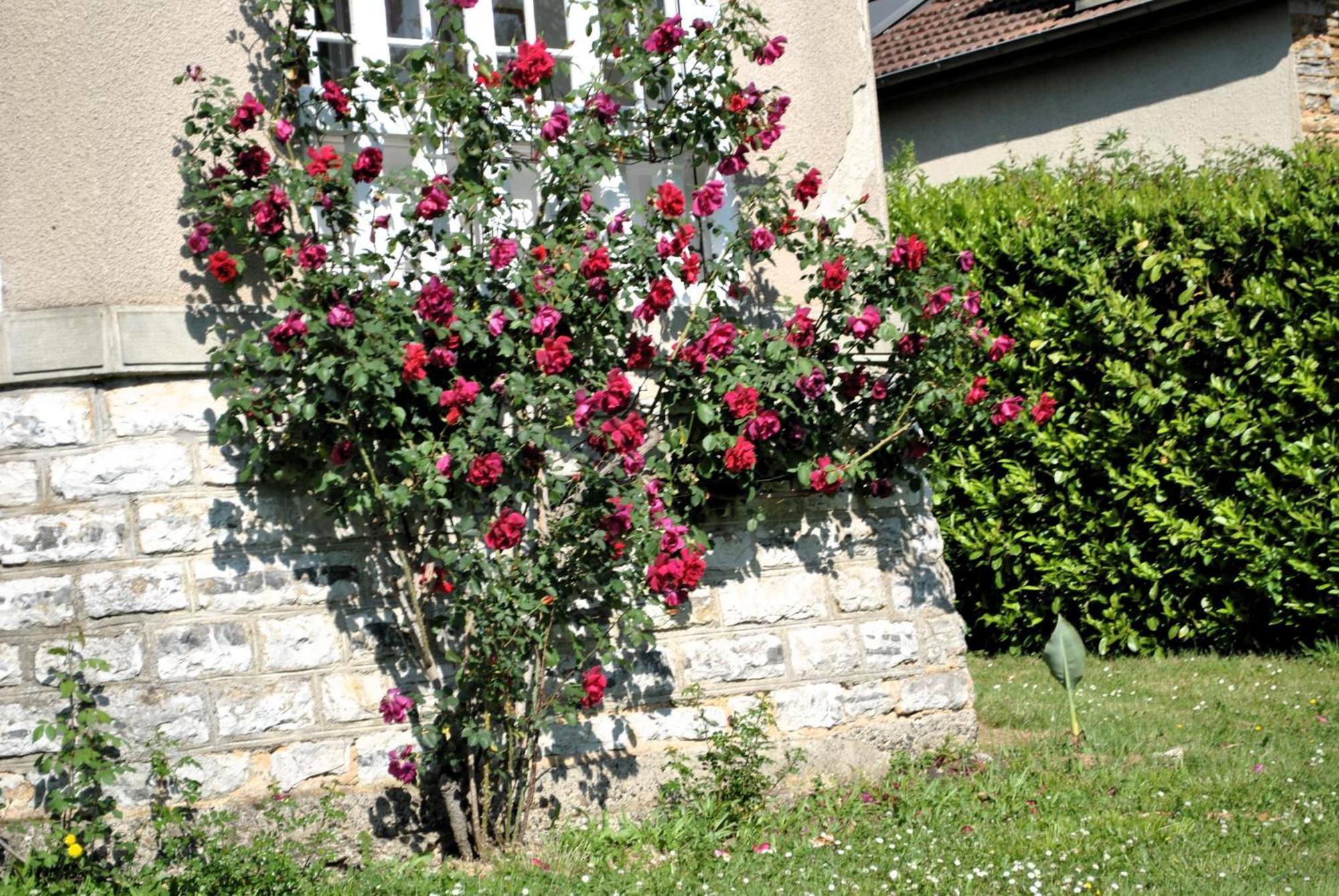 Villa Hortebise Salies-de-Béarn Buitenkant foto